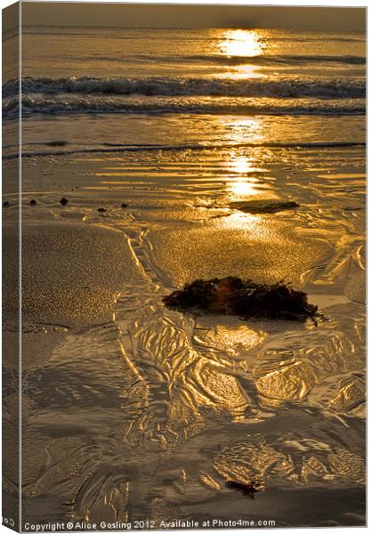 Patterns in the Sand Canvas Print by Alice Gosling