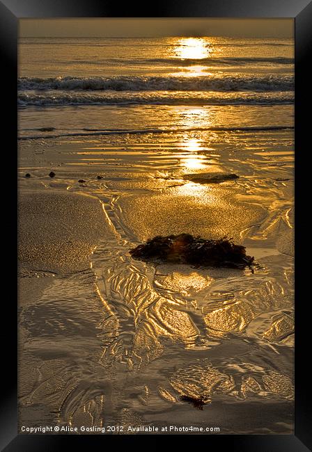 Patterns in the Sand Framed Print by Alice Gosling