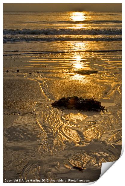 Patterns in the Sand Print by Alice Gosling