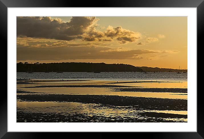 Sandbanks Golden Sunset Framed Mounted Print by Jennie Franklin