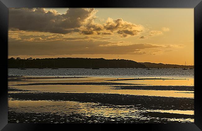 Sandbanks Golden Sunset Framed Print by Jennie Franklin
