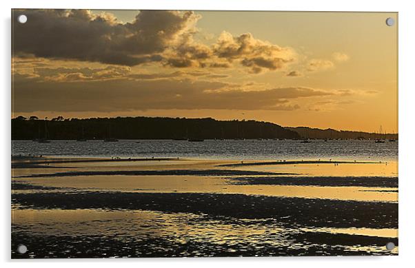 Sandbanks Golden Sunset Acrylic by Jennie Franklin