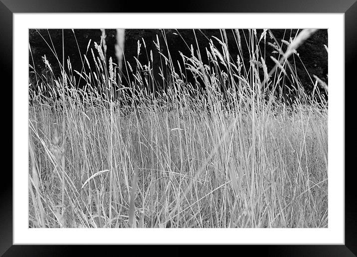 Meadow Framed Mounted Print by Catriona Paget