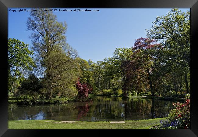 Reflections of tranquility Exbury Gardens Framed Print by Gordon Dimmer