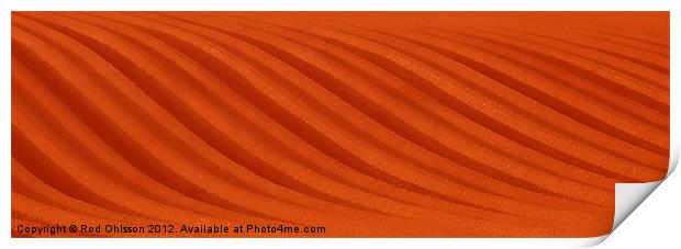 Earthwave Print by Rod Ohlsson