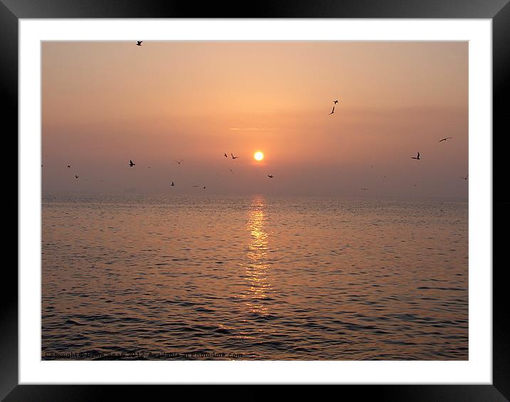 Peaceful Sunrise Framed Mounted Print by Bekie Spark