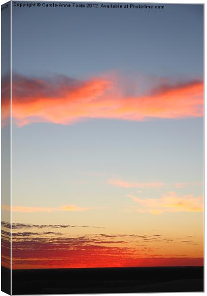 Before Sun-up at Mungo Canvas Print by Carole-Anne Fooks
