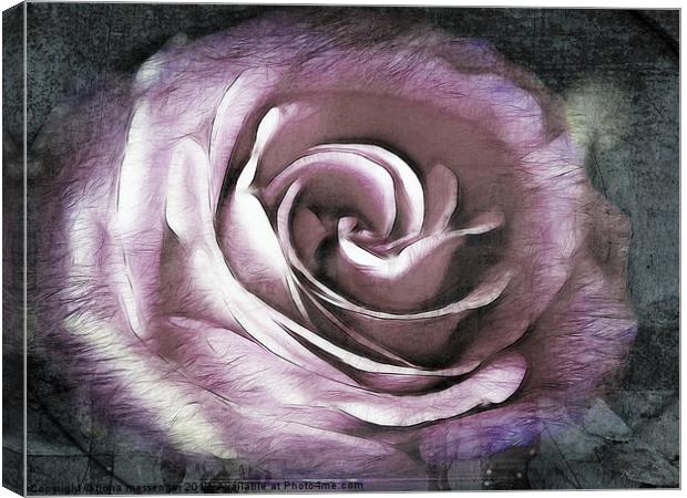 Blush Pink Rose Canvas Print by Fiona Messenger