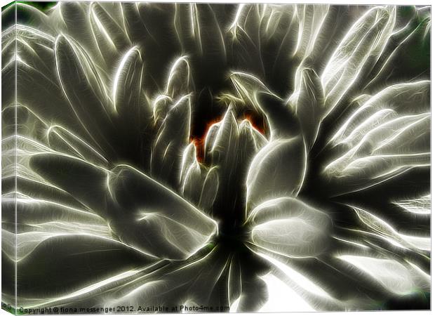 White Chrysanthemum fractalius Canvas Print by Fiona Messenger