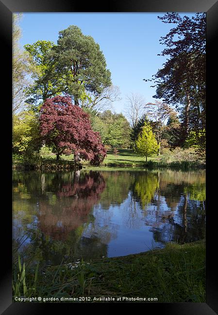 Reflections in Exbury garden pond Framed Print by Gordon Dimmer