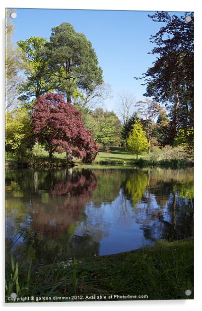 Reflections in Exbury garden pond Acrylic by Gordon Dimmer