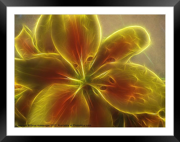 Asiatic  lily fractal Framed Mounted Print by Fiona Messenger