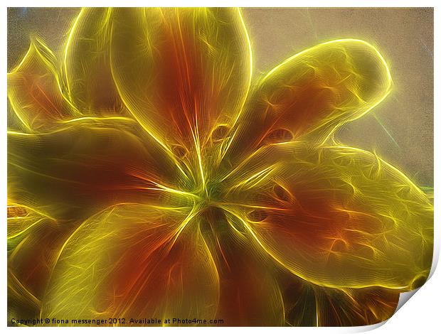 Asiatic  lily fractal Print by Fiona Messenger