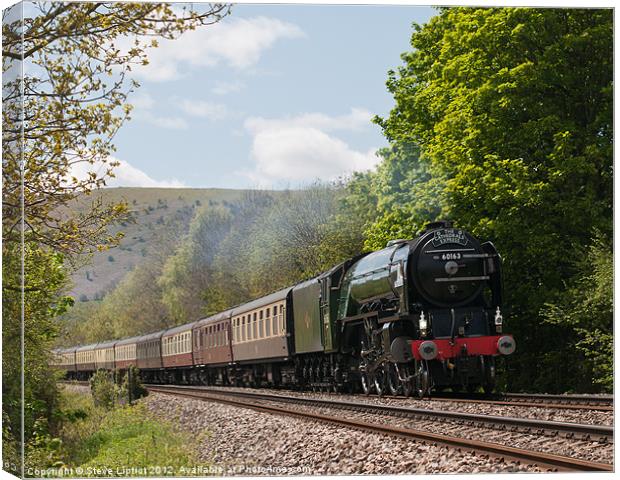 The Cathedrals Express Canvas Print by Steve Liptrot