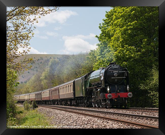 The Cathedrals Express Framed Print by Steve Liptrot