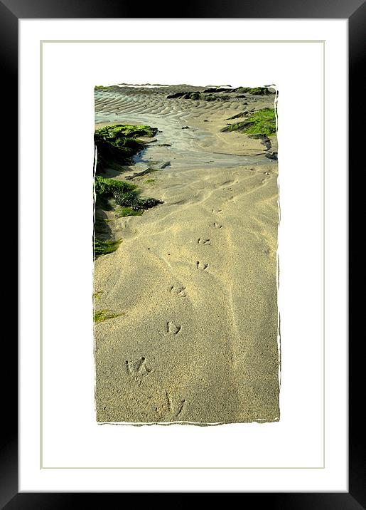 tracks on the sand Framed Mounted Print by Heather Newton