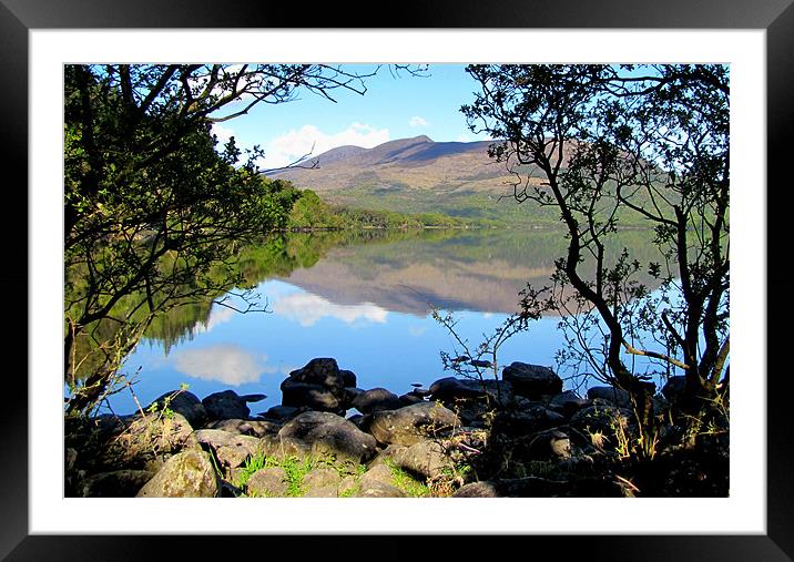 Muckross Lake Framed Mounted Print by barbara walsh