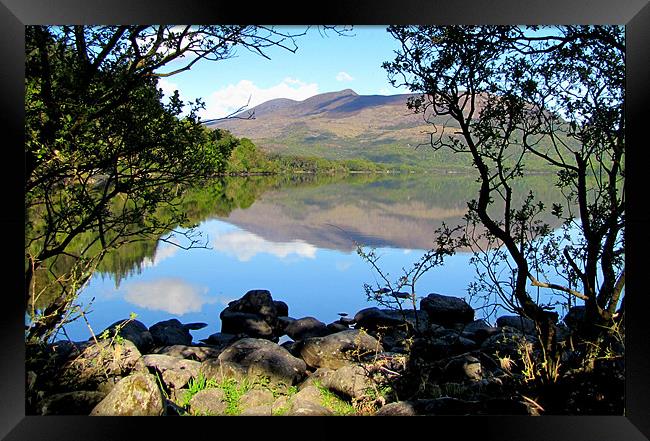 Muckross Lake Framed Print by barbara walsh