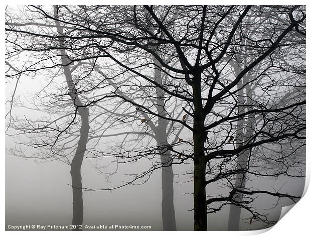 Trees in the Mist Print by Ray Pritchard