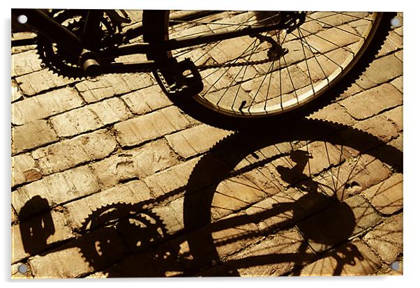 Bike Bits Acrylic by Mary Lane