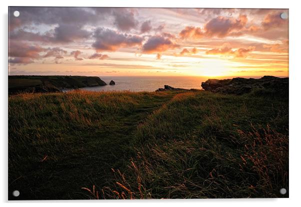 Cornish Headland Sunset Acrylic by Jason Connolly