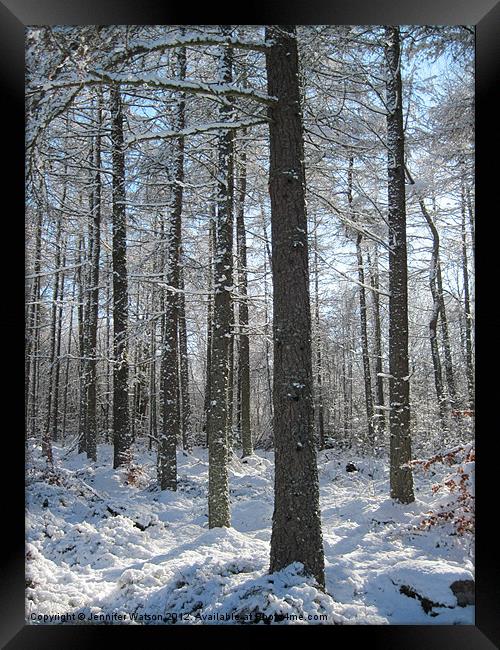 Snowy Trees Framed Print by Jennifer Henderson