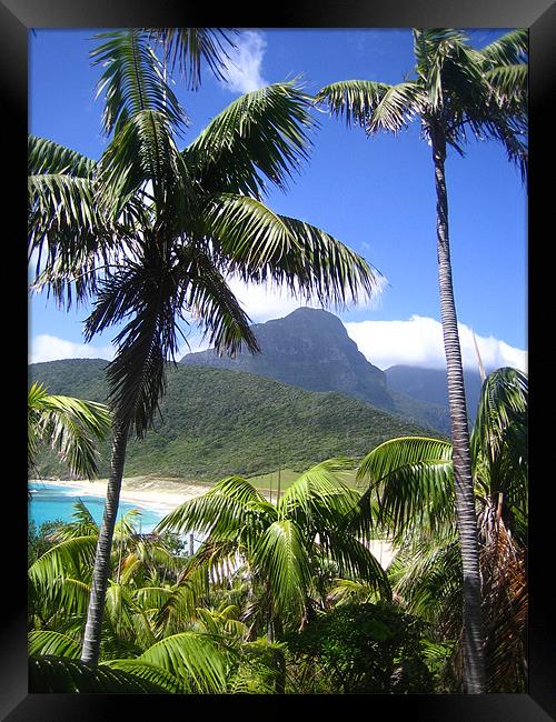 Blinky beach, Lord Howe Island Framed Print by Lucy Driver