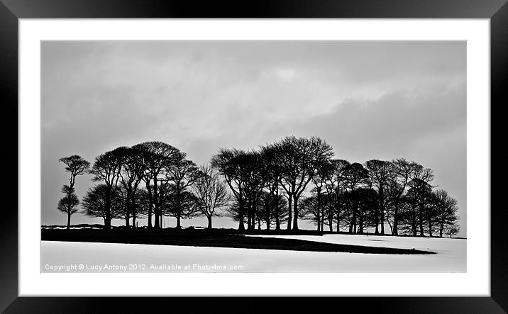 Peak trees & snow Framed Mounted Print by Lucy Antony