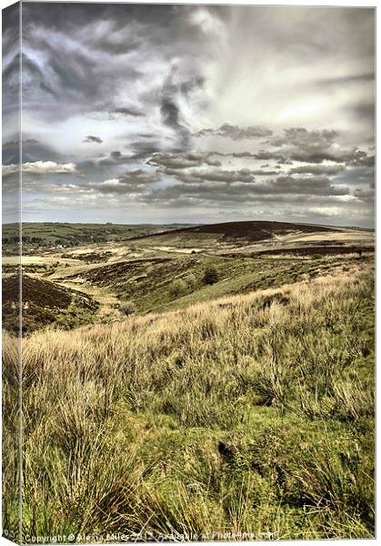 Exmoor View Canvas Print by Alexia Miles