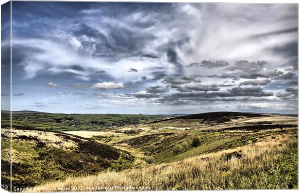 Exmoor National Park Canvas Print by Alexia Miles