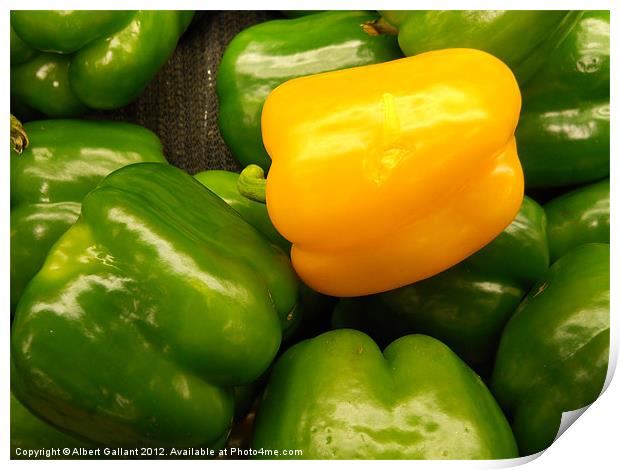 Peppers Print by Albert Gallant