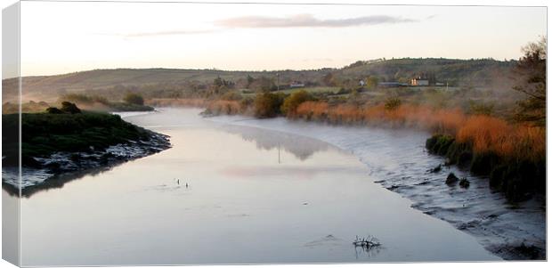 Mist rising over the River Canvas Print by barbara walsh