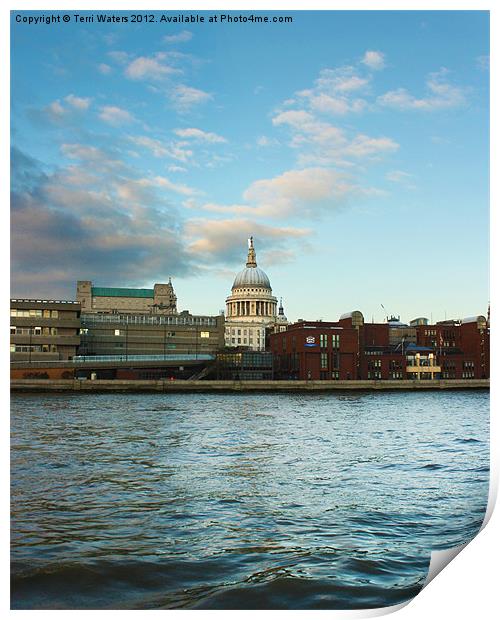 St Paul's Cathedral London Print by Terri Waters