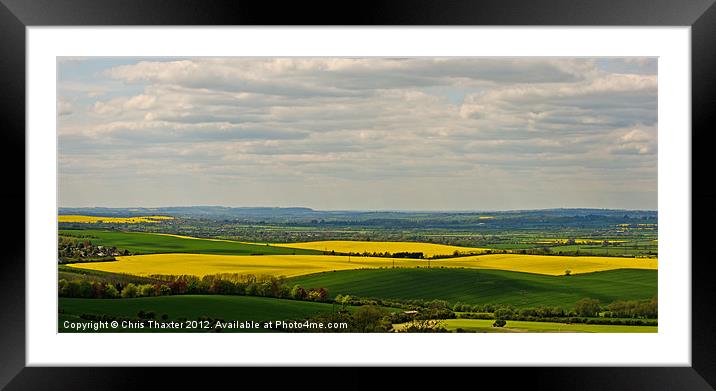 Fields of Gold Framed Mounted Print by Chris Thaxter