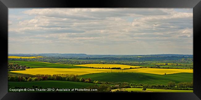 Fields of Gold Framed Print by Chris Thaxter