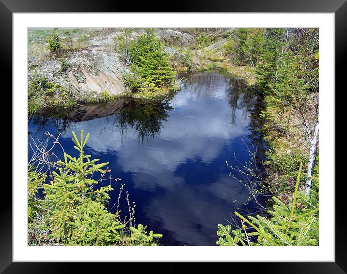 Small Northern Fen Framed Mounted Print by Peter Castine