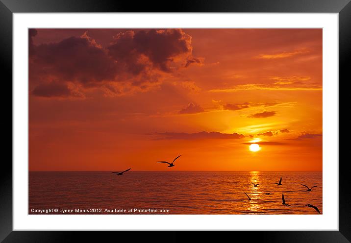 Birds At Sunset Framed Mounted Print by Lynne Morris (Lswpp)