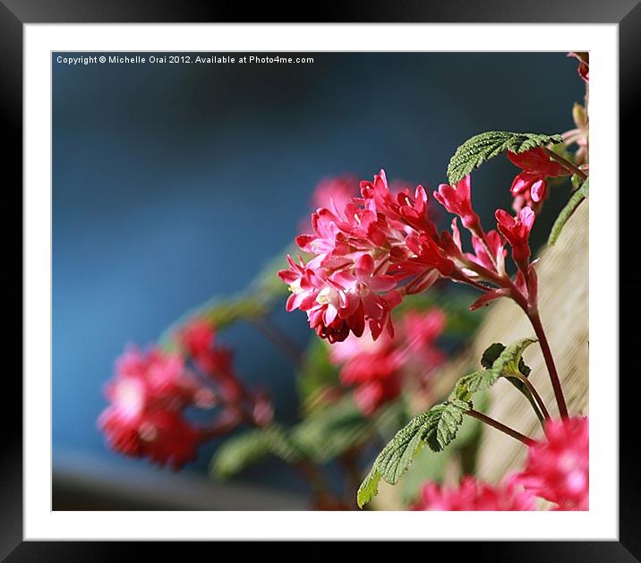 Vivid Ribes Framed Mounted Print by Michelle Orai