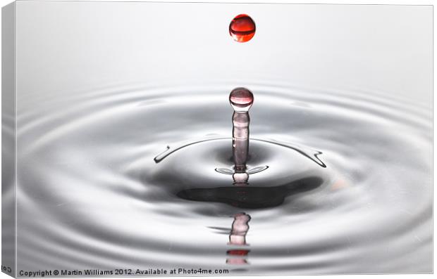 Water Drop and Ripples Canvas Print by Martin Williams