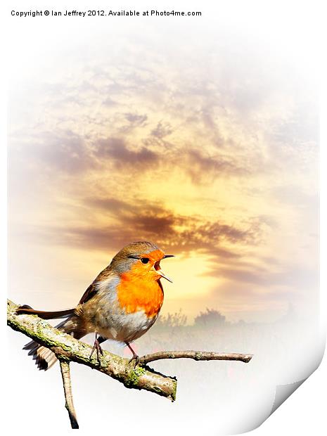 Robin At Sunset Print by Ian Jeffrey