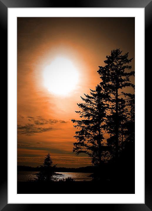 Sunset at Tofino Framed Mounted Print by Andy Evans Photos