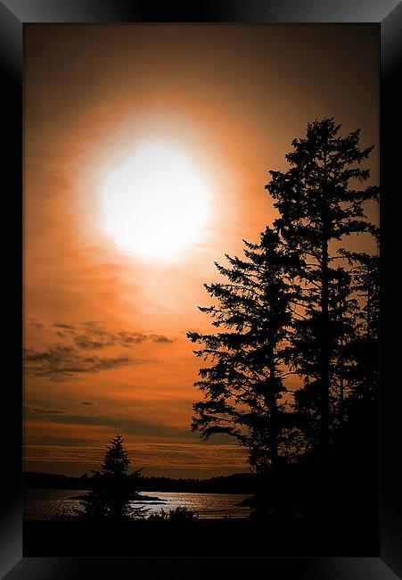 Sunset at Tofino Framed Print by Andy Evans Photos