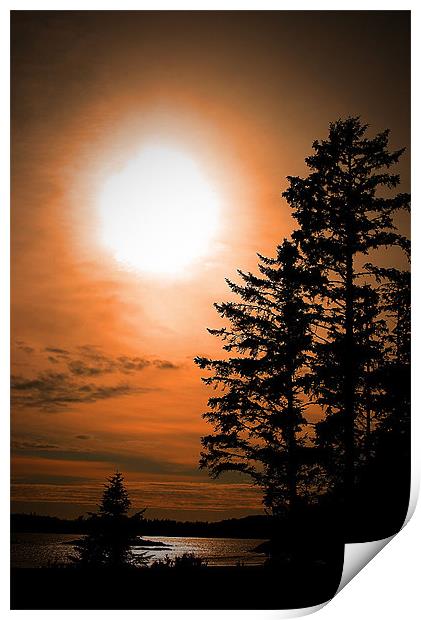 Sunset at Tofino Print by Andy Evans Photos