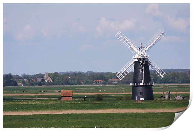 Norfolk Windmill Print by Linda Brown