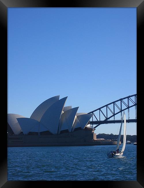 Sydney Harbour Framed Print by Lucy Driver