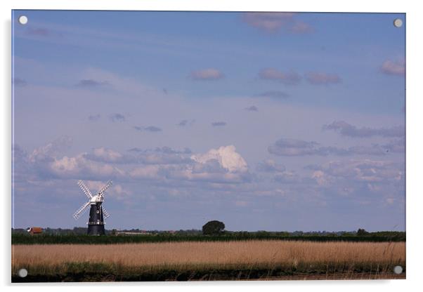 Berney Arms Windmill Acrylic by Linda Brown
