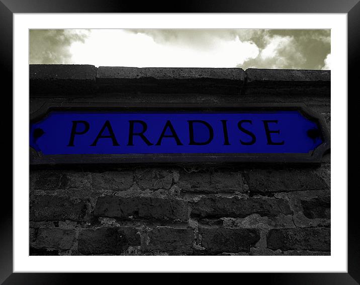 Paradise Framed Mounted Print by Ade Robbins