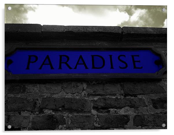 Paradise Acrylic by Ade Robbins