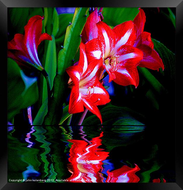 red lillies over water's edge at night Framed Print by john kolenberg