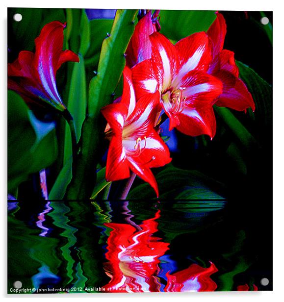 red lillies over water's edge at night Acrylic by john kolenberg